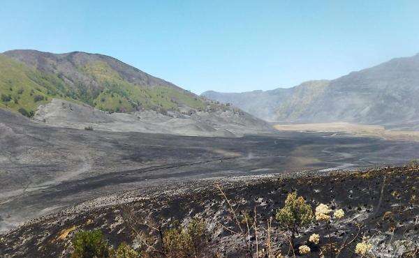 Pemadaman Rampung, Kunjungan Wisata Gunung Bromo Resmi Kembali Dibuka Pemadaman Rampung, Kunjungan Wisata Gunung Bromo Resmi Kembali Dibuka