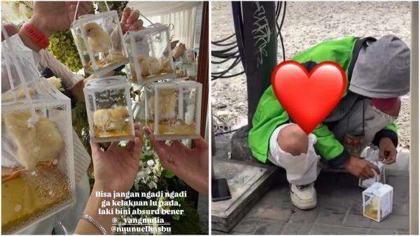 Viral Anak Ayam Jadi Souvenir Pernikahan Rangga dan Nunu, Netizen Murka! Viral Anak Ayam Jadi Souvenir Pernikahan Rangga dan Nunu, Netizen Murka!