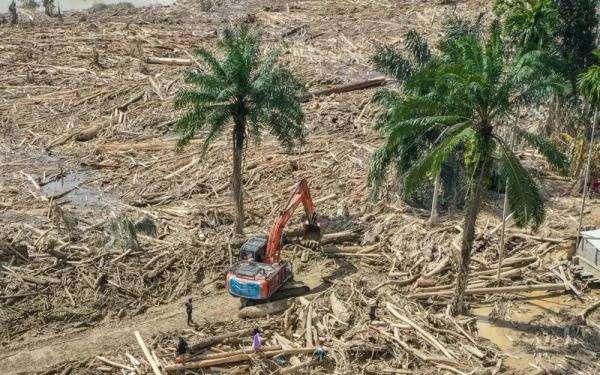 Kemensos Cairkan Bantuan Rp435 Miliar untuk Masyarakat Terdampak Bencana Sumatera Kemensos Cairkan Bantuan Rp435 Miliar untuk Masyarakat Terdampak Bencana Sumatera