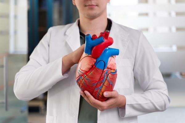 French Paradox, Rahasia Orang Prancis Jaga Jantung Tetap Sehat French Paradox, Rahasia Orang Prancis Jaga Jantung Tetap Sehat