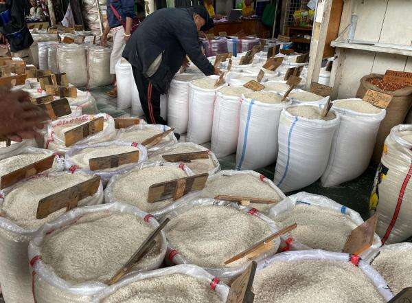Stok Beras Dipastikan Aman hingga Nataru, Pasokan di Pasar Induk Cipinang Tembus 1.500 Ton per Hari Stok Beras Dipastikan Aman hingga Nataru, Pasokan di Pasar Induk Cipinang Tembus 1.500 Ton per Hari