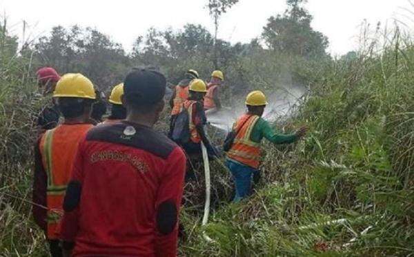 2.774 Hotspot Terdeteksi di Kalbar, BNPB: 38.310 Hektare Lahan Terindikasi Terbakar 2.774 Hotspot Terdeteksi di Kalbar, BNPB: 38.310 Hektare Lahan Terindikasi Terbakar
