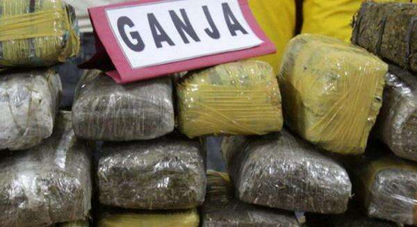 Jaringan Narkoba Manfaatkan Jasa Ekspedisi, Ganja Disamarkan dalam Mi Instan! Jaringan Narkoba Manfaatkan Jasa Ekspedisi, Ganja Disamarkan dalam Mi Instan!