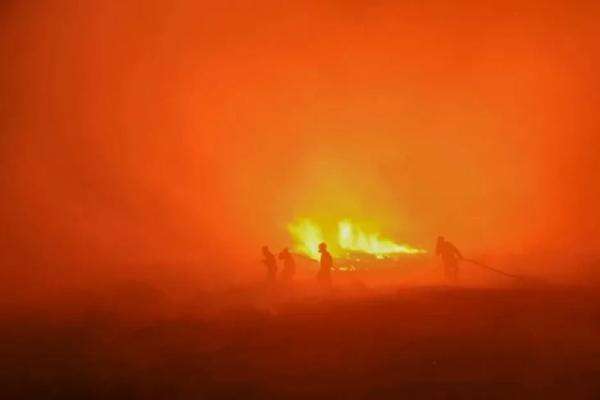 5 Perusahaan yang Dijatuhi Hukuman atau Ganti Rugi Besar dalam Kasus Karhutla dan Kerusakan Hutan 5 Perusahaan yang Dijatuhi Hukuman atau Ganti Rugi Besar dalam Kasus Karhutla dan Kerusakan Hutan