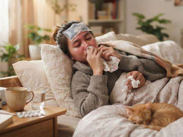 Hadapi Lonjakan Kasus Influenza A, Kemenkes Siagakan Labkesda dan Faskes Hadapi Lonjakan Kasus Influenza A, Kemenkes Siagakan Labkesda dan Faskes