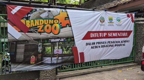 Bandung Zoo Ditargetkan Kembali Beroperasi pada Libur Akhir Tahun 2026 Bandung Zoo Ditargetkan Kembali Beroperasi pada Libur Akhir Tahun 2026