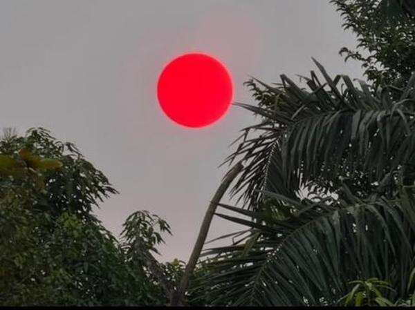 Matahari Berwarna Merah Menyala Terjadi saat Hutan Kalimantan Terbakar Matahari Berwarna Merah Menyala Terjadi saat Hutan Kalimantan Terbakar