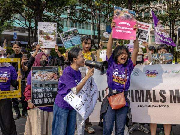 Aktivis Serukan Boikot Influencer Pemelihara Hewan Liar, Ini Alasannya! Aktivis Serukan Boikot Influencer Pemelihara Hewan Liar, Ini Alasannya!