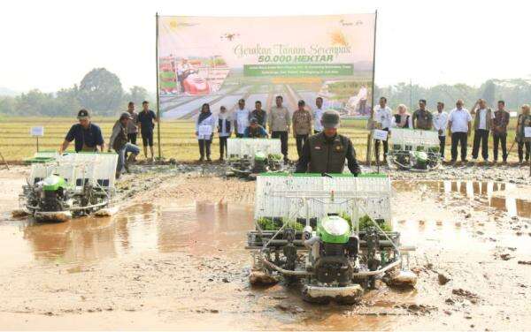 Pandeglang Ujung Tombak Produksi Padi Banten Pandeglang Ujung Tombak Produksi Padi Banten