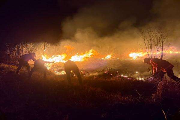 176,20 Hektare Kawasan Gunung Bromo Terbakar, Pemadaman via Darat dan Udara 176,20 Hektare Kawasan Gunung Bromo Terbakar, Pemadaman via Darat dan Udara