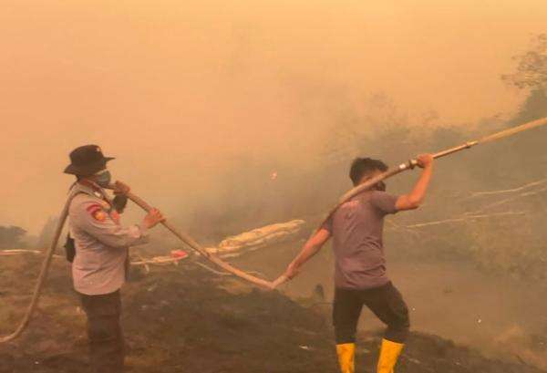Cegah Api Meluas, Polda Sumsel Gencarkan Penanganan Karhutla di Teluk Limau Cegah Api Meluas, Polda Sumsel Gencarkan Penanganan Karhutla di Teluk Limau