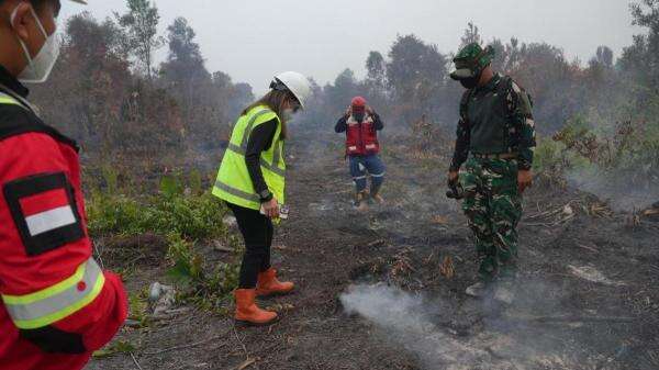 Tegaskan Tanggung Jawab Keberlanjutan, Grup MIND ID Perkuat Penanganan Dampak Karhutla Tegaskan Tanggung Jawab Keberlanjutan, Grup MIND ID Perkuat Penanganan Dampak Karhutla