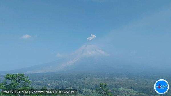 Gunung Semeru Erupsi Pagi Ini, Semburkan Kolom Abu Setinggi 800 Meter Gunung Semeru Erupsi Pagi Ini, Semburkan Kolom Abu Setinggi 800 Meter