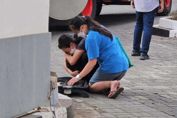 9 Hewan Peliharaan Mati akibat Kebakaran Apartemen di Tanah Abang Jakpus 9 Hewan Peliharaan Mati akibat Kebakaran Apartemen di Tanah Abang Jakpus