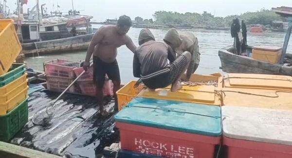 Cuaca Ekstrem, Nelayan Diminta tidak Melaut Cuaca Ekstrem, Nelayan Diminta tidak Melaut