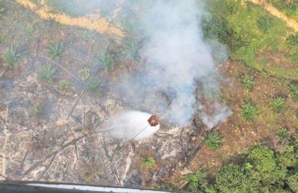 3 Helikopter Chinook Jepang Bantu Padamkan Karhutla di Kalimantan 3 Helikopter Chinook Jepang Bantu Padamkan Karhutla di Kalimantan