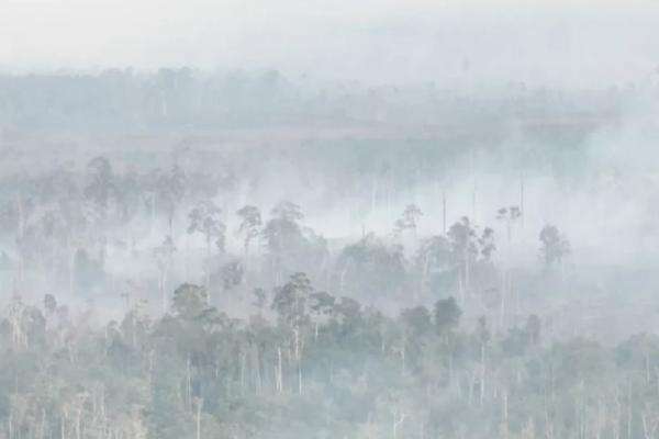 Kalimantan Dilanda Karhutla, BNPB: Layanan Penerbangan Tetap Berjalan Aman Kalimantan Dilanda Karhutla, BNPB: Layanan Penerbangan Tetap Berjalan Aman