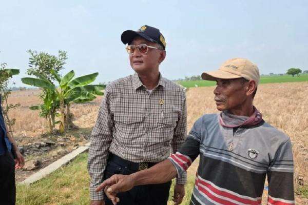 Momen Dody Hanggodo Marah saat Sidak Sawah Kekeringan: Swasembada Pangan Tak Boleh Gagal Momen Dody Hanggodo Marah saat Sidak Sawah Kekeringan: Swasembada Pangan Tak Boleh Gagal