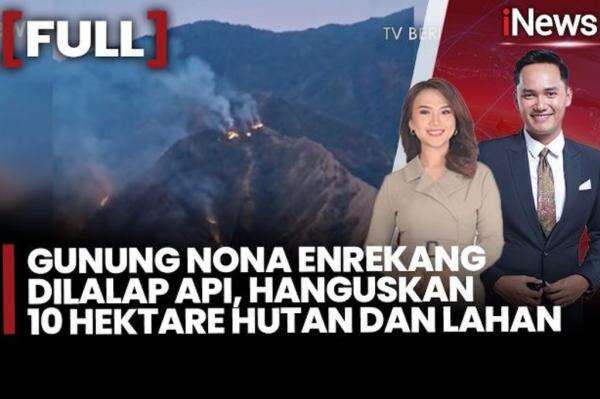 Gunung Nona Enrekang Terbakar, 10 Hektare Hutan Hangus Dilalap Api Gunung Nona Enrekang Terbakar, 10 Hektare Hutan Hangus Dilalap Api