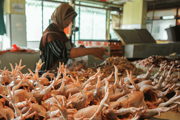 Cek Harga Pangan di Akhir Pekan: Cabai Rawit, Ayam, hingga Minyak Goreng Naik Cek Harga Pangan di Akhir Pekan: Cabai Rawit, Ayam, hingga Minyak Goreng Naik