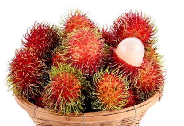 Apakah Buah Rambutan Aman Dikonsumsi Penderita Asam Urat? <i>Yuk</i> Temukan Jawabannya Apakah Buah Rambutan Aman Dikonsumsi Penderita Asam Urat? <i>Yuk</i> Temukan Jawabannya