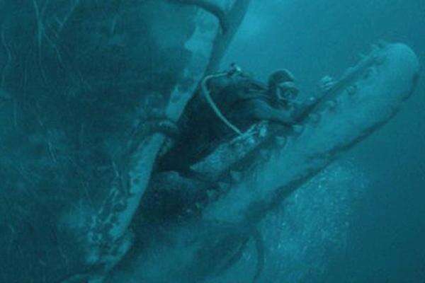 Sinopsis Film Whale, Perjuangan Satu Jam Bertahan Hidup di Perut Paus Raksasa Sinopsis Film Whale, Perjuangan Satu Jam Bertahan Hidup di Perut Paus Raksasa