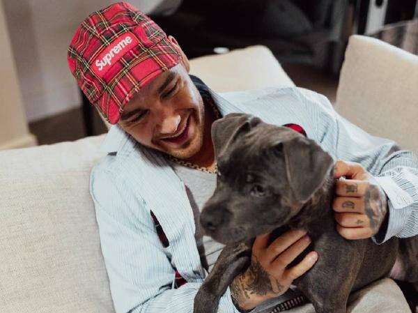 Heboh! Putra Tunggal Liam Payne Terima Warisan Rp518 Miliar Heboh! Putra Tunggal Liam Payne Terima Warisan Rp518 Miliar