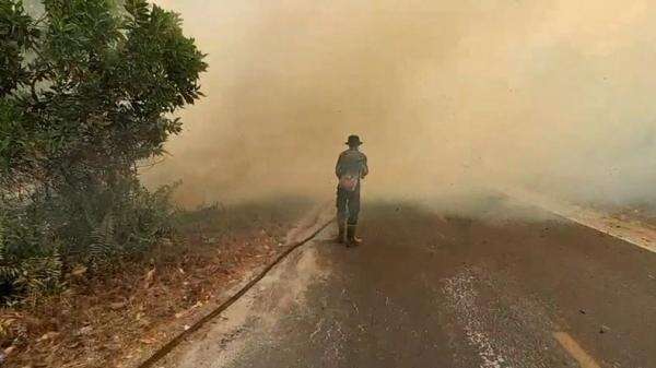 Padamkan Kebakaran Hutan Kalimantan, Malaysia Bantu Modifikasi Cuaca di Langit Indonesia Padamkan Kebakaran Hutan Kalimantan, Malaysia Bantu Modifikasi Cuaca di Langit Indonesia