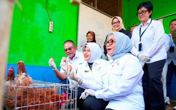 Menteri PPPA dan Kepala BPS Apresiasi Pemberdayaan PNM untuk Usaha Ekonomi Sirkular Menteri PPPA dan Kepala BPS Apresiasi Pemberdayaan PNM untuk Usaha Ekonomi Sirkular