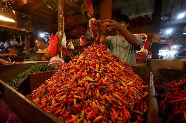 Harga Pangan Hari Ini 6 Oktober 2026 Melonjak, Cabai Rawit Merah Tembus Rp114.000 per Kg Harga Pangan Hari Ini 6 Oktober 2026 Melonjak, Cabai Rawit Merah Tembus Rp114.000 per Kg