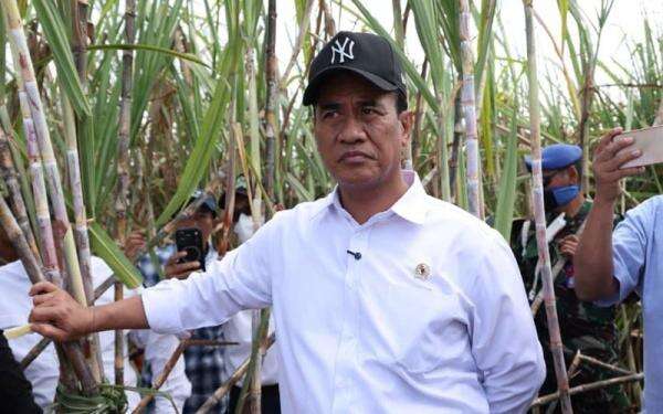 Wujudkan Swasembada Gula, Mentan Siapkan Rp1,7 Triliun untuk Peremajaan Tebu Rakyat Wujudkan Swasembada Gula, Mentan Siapkan Rp1,7 Triliun untuk Peremajaan Tebu Rakyat