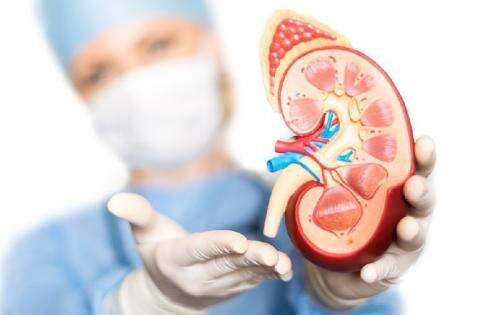 Angka Kematian Pasien Cuci Darah Setelah 5 Tahun Tinggi, Ini Kata Dokter Angka Kematian Pasien Cuci Darah Setelah 5 Tahun Tinggi, Ini Kata Dokter