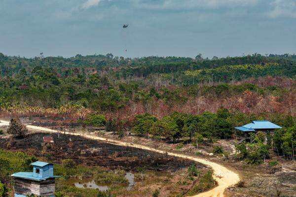 IKN Terancam Karhutla, Pemerintah Lindungi Zona Inti Termasuk Istana agar Tetap Aman IKN Terancam Karhutla, Pemerintah Lindungi Zona Inti Termasuk Istana agar Tetap Aman