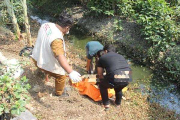 Mayat Pria Ditemukan di Pinggir Jalan Grobogan, Warga asal Ciamis Mayat Pria Ditemukan di Pinggir Jalan Grobogan, Warga asal Ciamis
