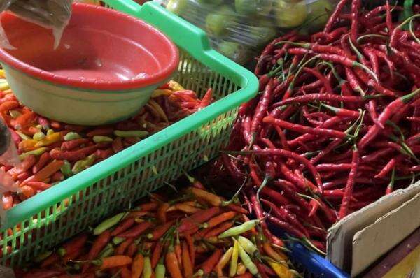 Harga Pangan Hari Ini, Cabai, Beras hingga Minyak Goreng Naik Harga Pangan Hari Ini, Cabai, Beras hingga Minyak Goreng Naik