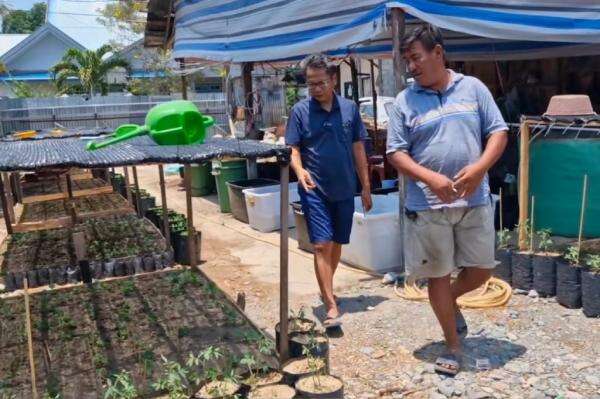 Tekan Mahalnya Bahan Pokok, Legislator Perindo Marselinus Rintis Program Pertanian Pekarangan Terpadu di Sulteng Tekan Mahalnya Bahan Pokok, Legislator Perindo Marselinus Rintis Program Pertanian Pekarangan Terpadu di Sulteng