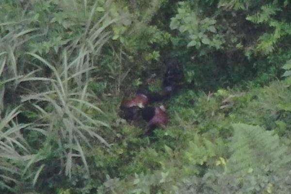 Terluka usai Ditembak Satgas Damai Cartenz, DPO Penembakan di Tembagapura Kabur ke Hutan Terluka usai Ditembak Satgas Damai Cartenz, DPO Penembakan di Tembagapura Kabur ke Hutan