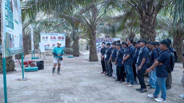 Bukan Sekadar Potong Tandan, Pelatihan Panen Sawit Genjot Mutu dan Harga TBS Bukan Sekadar Potong Tandan, Pelatihan Panen Sawit Genjot Mutu dan Harga TBS