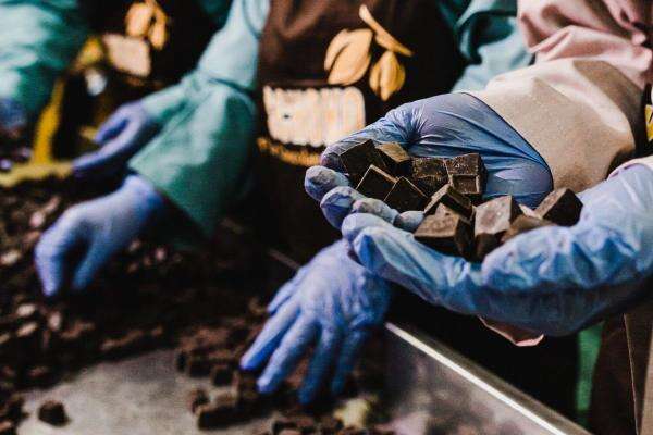 Saham Porto Maruarar Sirait (COCO) Terbang 129 Persen Tersengat Rights Issue Saham Porto Maruarar Sirait (COCO) Terbang 129 Persen Tersengat Rights Issue