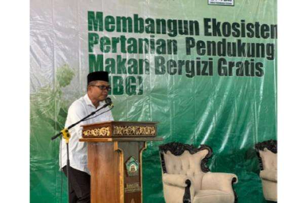 NU Sebut Program MBG Tak Hanya Pemenuhan Gizi Tapi Juga Tata Ekosistem Pertanian NU Sebut Program MBG Tak Hanya Pemenuhan Gizi Tapi Juga Tata Ekosistem Pertanian