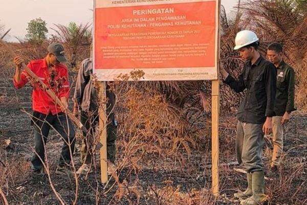 Hadapi Musim Kemarau, Kemenhut Periksa Kesiapan 4 Perusahaan Cegah Karhutla Hadapi Musim Kemarau, Kemenhut Periksa Kesiapan 4 Perusahaan Cegah Karhutla