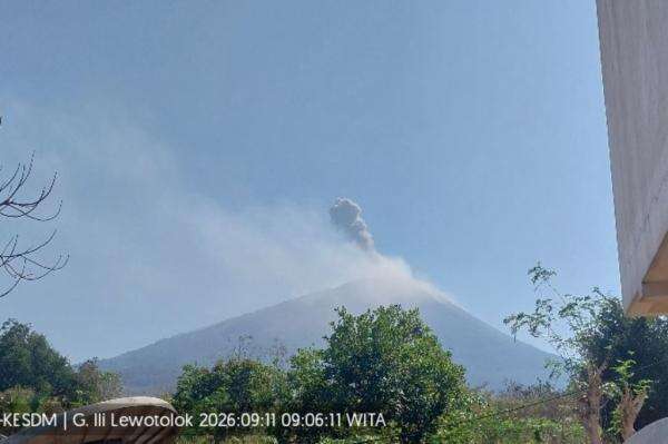 Gunung Ile Lewotolok Erupsi, Kolom Abu Tebal Membubung Setinggi 700 Meter ke Langit Gunung Ile Lewotolok Erupsi, Kolom Abu Tebal Membubung Setinggi 700 Meter ke Langit