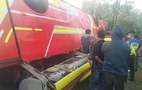 Kecelakaan Maut Bus Terguling di Jalintim Mesuji Lampung, 3 Tewas 25 Luka-Luka Kecelakaan Maut Bus Terguling di Jalintim Mesuji Lampung, 3 Tewas 25 Luka-Luka