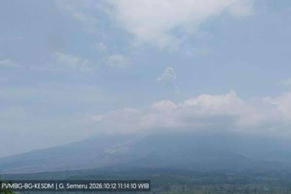 Gunung Semeru Meletus Siang Ini, Muntahkan Abu Tebal Setinggi 900 Meter ke Langit Gunung Semeru Meletus Siang Ini, Muntahkan Abu Tebal Setinggi 900 Meter ke Langit