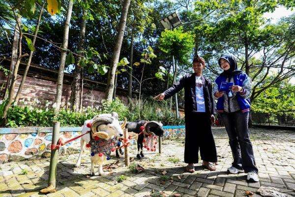 Dorong Produktivitas, BRI Peduli Salurkan Bantuan bagi Peternak Domba Garut Dorong Produktivitas, BRI Peduli Salurkan Bantuan bagi Peternak Domba Garut