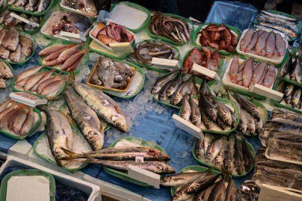7 Hal Ini Perlu Diperhatikan saat Beli Ikan, Jangan Cuma Lihat Harganya 7 Hal Ini Perlu Diperhatikan saat Beli Ikan, Jangan Cuma Lihat Harganya