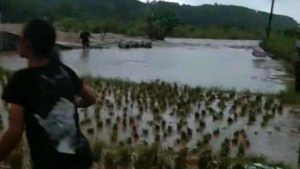 Luapan Sungai Cirompang Rendam Puluhan Hektar Sawah di Mekarmukti Luapan Sungai Cirompang Rendam Puluhan Hektar Sawah di Mekarmukti