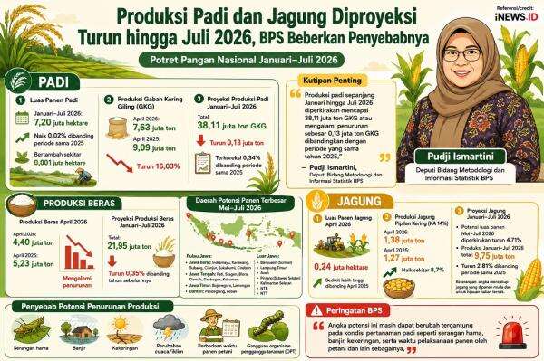 BPS Ungkap Produksi Padi dan Jagung Berpotensi Menurun hingga Juli 2026, Ini Penyebabnya BPS Ungkap Produksi Padi dan Jagung Berpotensi Menurun hingga Juli 2026, Ini Penyebabnya