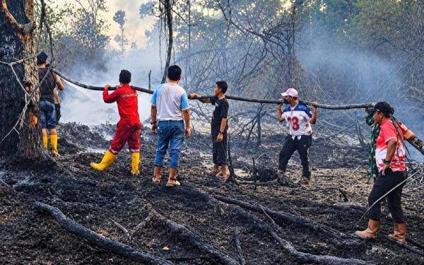 Antisipasi Karhutla, Triputra Agro (TAPG) Manfaatkan Satelit Pantau Hotspot Antisipasi Karhutla, Triputra Agro (TAPG) Manfaatkan Satelit Pantau Hotspot