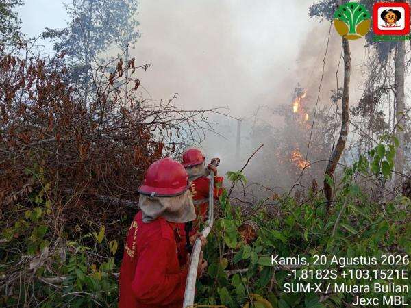 BNPB Fokus Operasi Darat untuk Tangani Karhutla di Kalimantan dan Sumatera BNPB Fokus Operasi Darat untuk Tangani Karhutla di Kalimantan dan Sumatera